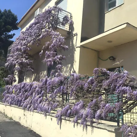 فندق مبيت وإفطار Il Glicine Centro بيسكارا