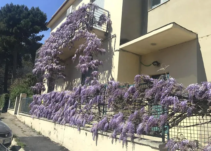 Oda ve Kahvaltı Il Glicine Centro Pescara